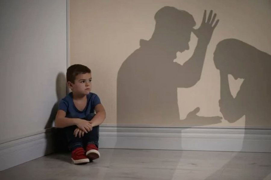 Пробация в Кыргызстане - Пробация и борьба с семейным насилием