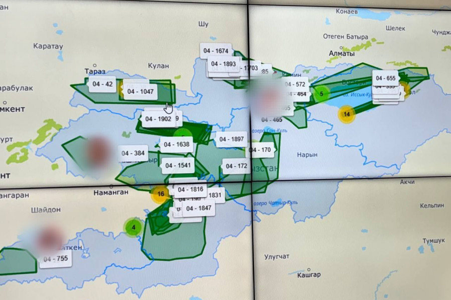 Пробация в Кыргызстане - Коомдук коопсуздукту санариптештирүү аркылуу жогорулатуу: электрондук көзөмөлдүн алгачкы жыйынтыктар